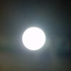 mamazi_88