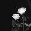 loverobloxevadiva67
