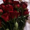 zaza__2133