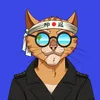 gatto.scaduto