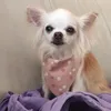 francescomarras7