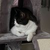 malanne67