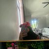 hajar_.060