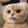 mmumnmm
