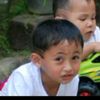 kelincilaut06
