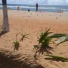 paulosergioribe89
