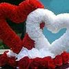 user6199133559031