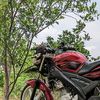 wong_tani141