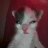itzdarkzinha