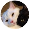 meriem_ar22