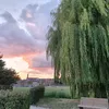 razanhomsi12r21