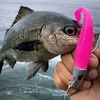 profishingspa