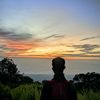 novan_421