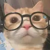 ebkcngtz