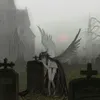 novacne_