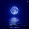 themooninbluenightsky