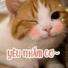 meowmeow1912