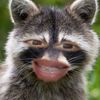 emelu89