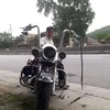 nguyetmyminh