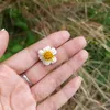 duong_duong11_12