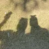 n_oor_3311