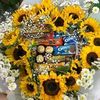 bellareyes029