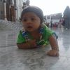 jass25523