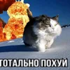 juggernaut_993