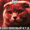 veelydd