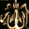 hadimuhammad988