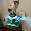 deawvzqns0