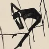 misterdot010