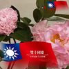 amyyang1016