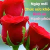 haile45669