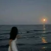 xylvnzx