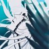 broly_500