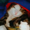 puurrzz