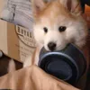 eli_yanliu