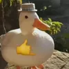 tyleragg17