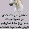 user9998043125361