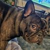 cooperandmylo
