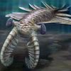 anomalocaris813
