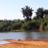 joseliasouzaborge