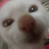 yeonny990