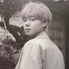 hm_phj