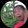 minhtridz26