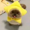anikavenizarceo