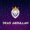 abdullah.__.mughal13