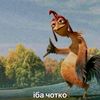 user_kayott190r