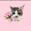 alisha_comel3